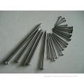 Iron Common Nails Polished Common round nails Manufactory